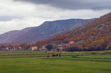 Güzel kırsal manzara yeşil bir alan ve bulutlu bir sonbahar gününde küçük bir köy. Bosna ve Hersek, Sırp Cumhuriyeti, Zubacko polje