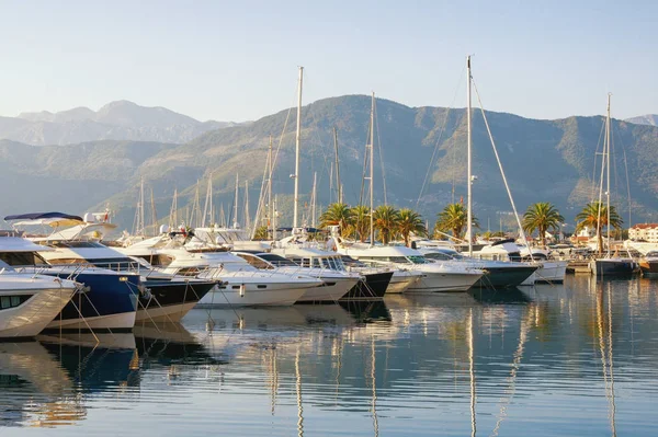 Vista Del Puerto Deportivo Porto Montenegro Montenegro Mar Adriático Bahía — Foto de Stock
