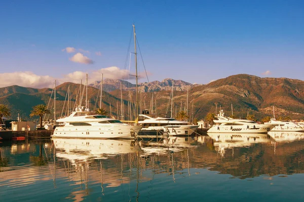 Yacht marina in Adriatic. Montenegro, Adriatic Sea, Bay of Kotor, Tivat city. View of Porto Montenegro marina