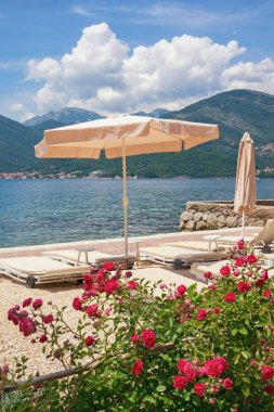 Yaz plaj tatil. Kotor Körfezi Karadağ, Adriyatik Denizi, görünümünü Tivat city yakınındaki