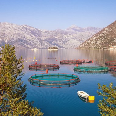 Güneşli Mediterranean peyzaj fish farm ön planda ve mesafe iki küçük ada. Karadağ, Adriyatik Denizi, Kotor Körfezi
