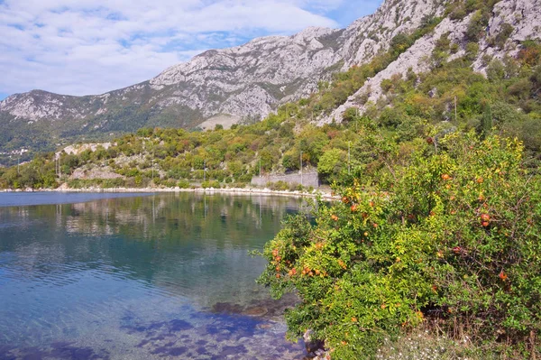 Beautiful autumn Mediterranean landscape.  Montenegro, Adriatic Sea, view of Kotor Bay near Risan town — Stock Photo, Image