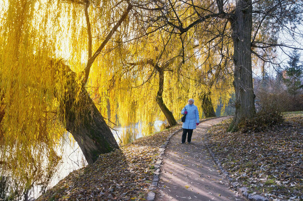 Elderly lady walks in park on sunny autumn day. Central Ukraine, Uman city, park (botanical garden) Sofiyivka  