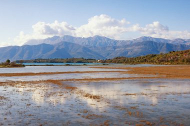Sulak arazi. Karadağ. Tivat Salina (Tivatska Solila) - özel botanik ve hayvan rezervi - güneşli bir bahar gününde 