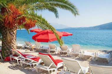 Yaz plaj tatili. Kırmızı plaj şemsiyeleri ile güneşli Akdeniz manzara. Karadağ, Adriyatik Denizi, Kotor Körfezi, Herceg Novi