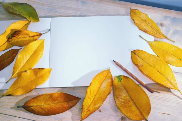 Otwórz SketchBook, ołówek i żółte jesienne liście na tle rustykalnym — Zdjęcie stockowe