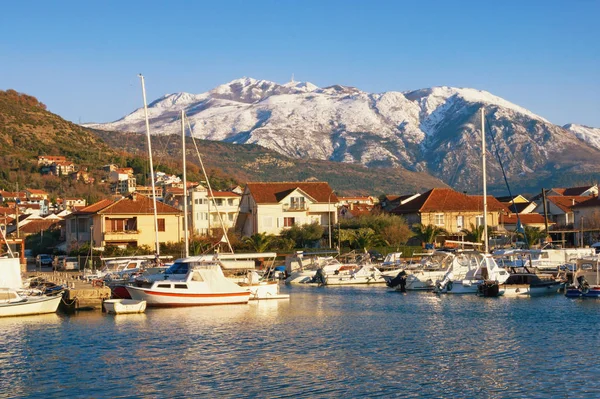 Güneşli kış gününde güzel Akdeniz manzara. Karlı dağların eteklerinde limanda balıkçı tekneleri. Karadağ, Kotor Körfezi. Tivat şehrinde Marina Kalimanj manzarası ve Lovcen dağlarının karla kaplı