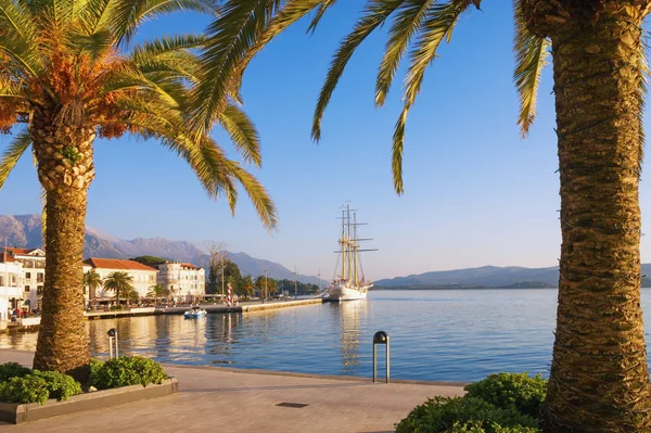 Embankment of Tivat city on sunny autumn day. Montenegro, Adriatic Sea, Bay of Kotor — Stock Photo, Image