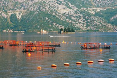 Balık çiftliği, güneşli yaz Akdeniz manzara. Karadağ, Adriyatik Denizi, Kotor Körfezi
