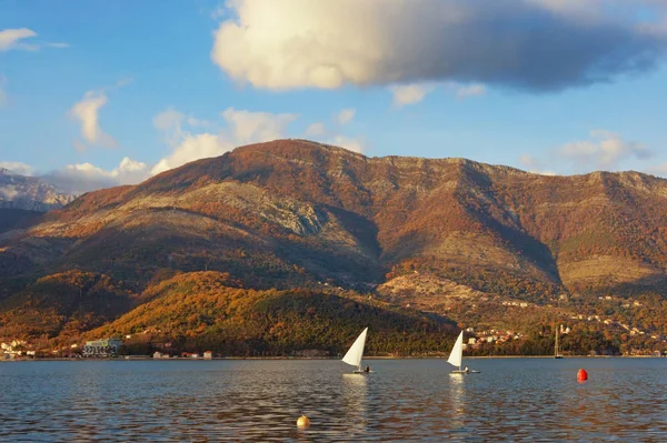 Autumn Mediterranean landscape with sailboats on the water. Montenegro, Adriatic Sea, view of Bay of Kotor near Tivat city