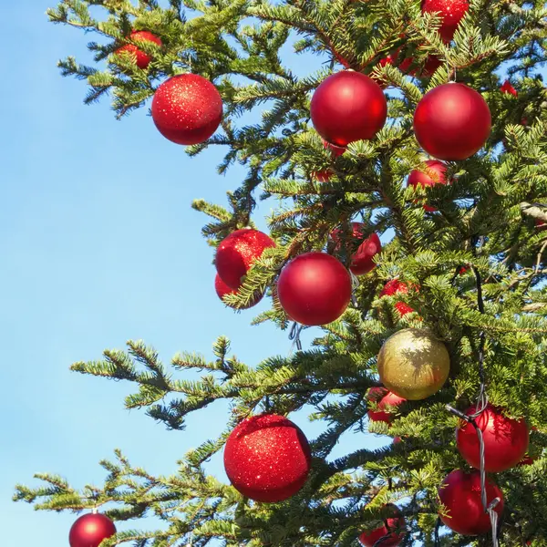 Яскраві різдвяні кульки на прикрашеній різдвяній ялинці в сонячний день проти блакитного неба — стокове фото