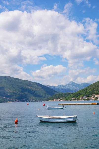 Güzel bir yaz Akdeniz manzarası. Mavi gökyüzü ve mavi körfez. Karadağ, Adriyatik Denizi, Tivat yakınlarındaki Kotor Körfezi manzarası