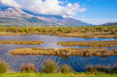Güzel güneşli sulak arazi. Karadağ, Tivat. Bahar günü Tivat Salina (Tivatska Solila) manzarası
