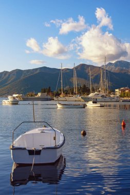 Güzel bir sonbahar Akdeniz manzarası. Karadağ, Adriyatik Denizi. Tivat kenti yakınlarındaki Kotor Körfezi manzarası