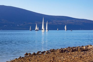 Suda yüzen teknelerle Akdeniz manzarası. Karadağ. Tivat kenti yakınlarındaki Kotor Körfezi manzarası