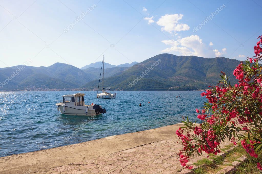 Beautiful summer Mediterranean landscape. Montenegro, Adriatic Sea, Bay of Kotor, Tivat