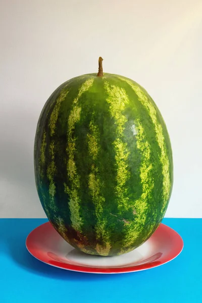 Green Striped Watermelon Red Plate Blue Table Blue Table Free — Stock Photo, Image