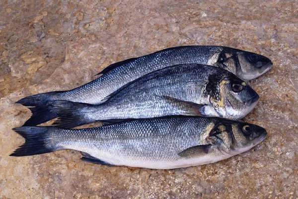Τρία Φρέσκα Ωμά Ψάρια Λαβράκι Τσιπούρα Πέτρα Επίπεδο Lay Αντίγραφο — Φωτογραφία Αρχείου