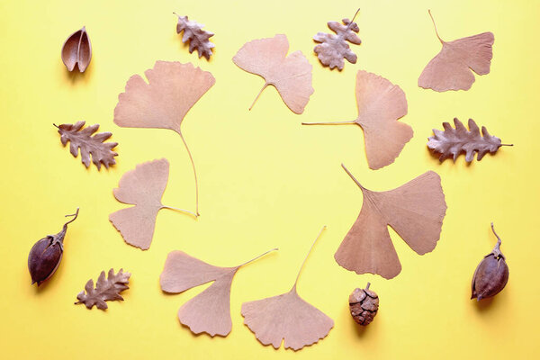 Autumn background with ginkgo and oak leaves on yellow paper. Copy space