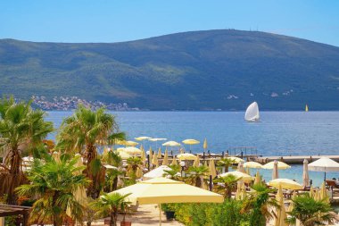 Güneşli Akdeniz manzarası. Plaj tatili Karadağ, Tivat. Kotor Körfezi kıyısında bir sahil.