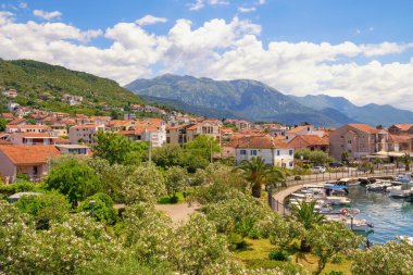 Sunny Mediterranean town. Montenegro, view of Tivat city and Lovcen mountain. Flowering oleander trees in park, fishing boats in harbor