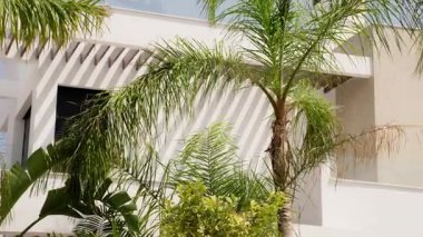 Barselona şehrinin güzel manzarası