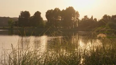 Arkasında bir göl olan güzel bir manzara.