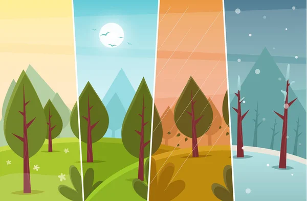 Four Seasons Woods Vector Illustration — Stock Vector