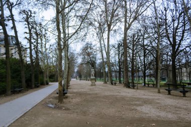 Kışın Lüksemburg bahçeleri