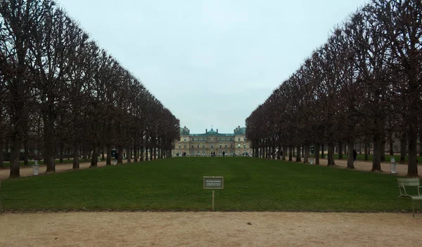 木の間のルクセンブルク宮殿 — ストック写真