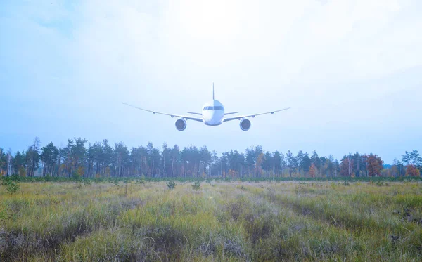 Passenger plane over a forest and field. Transport in nature