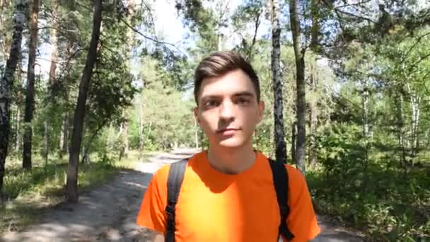 Jovem Turista Com Uma Mochila Atravessa Floresta — Vídeo de Stock