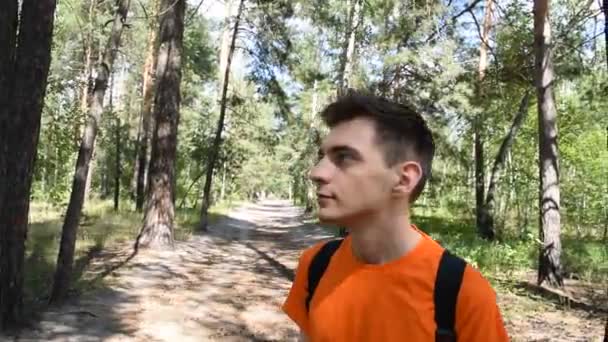 Jovem Turista Com Uma Mochila Atravessa Floresta — Vídeo de Stock