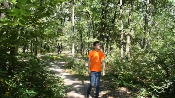 Jovem Uma Camiseta Caminha Pela Floresta Natureza — Vídeo de Stock