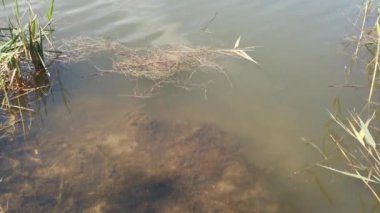 Göldeki kahverengi su arkaplanının üst görünümü