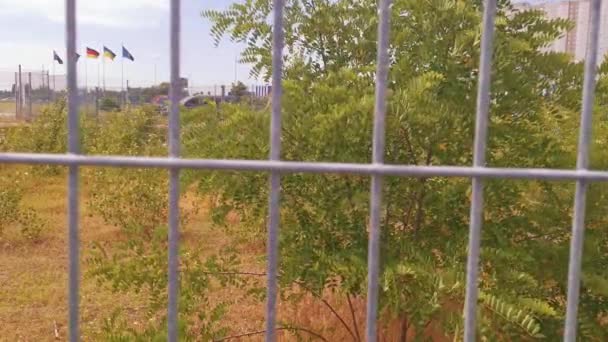 Kilátás Rácson Keresztül Kerítés Lombozat Fák Városban — Stock videók