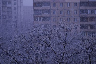 Kış şehrindeki karlı ağaçların arasından bak.