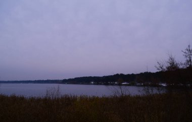 Kuru bitkilerin arasından karanlık bir göle bak. Bulutlu hava