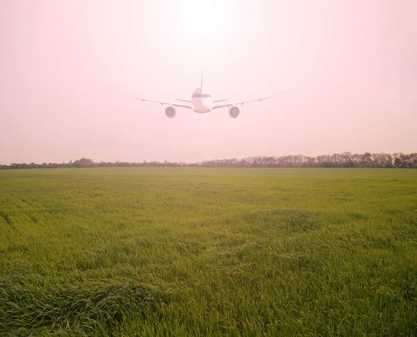 Avião Passageiros Sobre Grande Campo Verde Pôr Sol Transporte — Fotografia de Stock