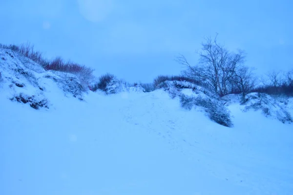 Blick Durch Den Schnee Auf Trockene Äste Winterlandschaft — Stockfoto