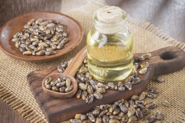 tohum ve Hint yağı ahşap masa - Ricinus communis üzerinde