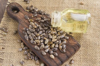 tohum ve Hint yağı ahşap masa - Ricinus communis üzerinde