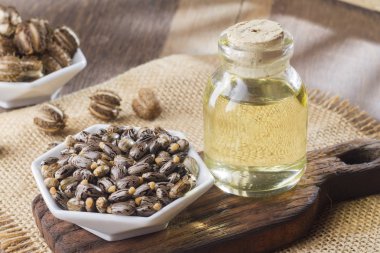 tohum ve Hint yağı ahşap masa - Ricinus communis üzerinde