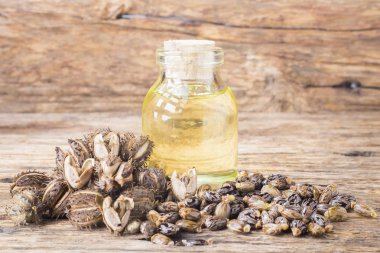 meyve ve hintyağı ahşap masada - Ricinus comis