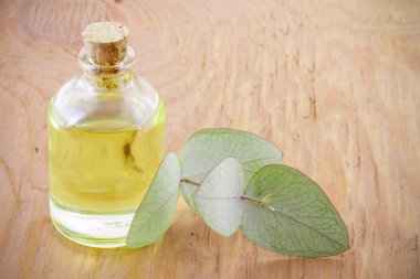 ahşap üzerine petrol ve okaliptüs yaprakları ile jar