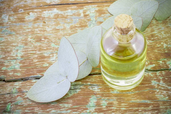Jar Oil Eucalyptus Leaves Wood — Stock Photo, Image