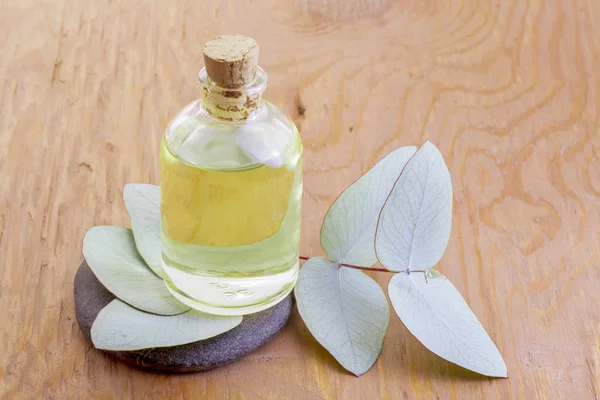 Jar Oil Eucalyptus Leaves Wood — Stock Photo, Image