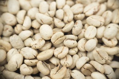 yeşil kahve çekirdekleri, üstten görünüm - kahve ağacı,.