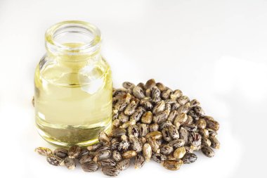 Hint yağı ve tohum beyaz arka plan üzerinde Ricinus communis izole.