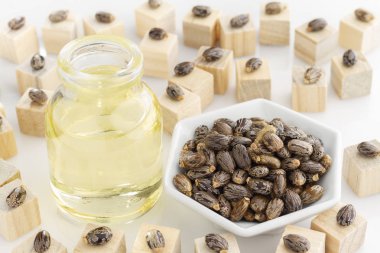 Petrol ve beyaz arka plan üzerinde Keneotu tohumlarını.